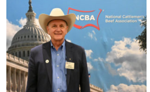 Buck Wehrbein Elected NCBA President at CattleCon 2025